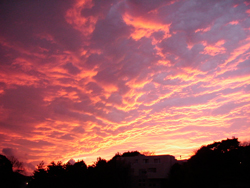 20070214_01_00.jpg