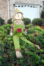 20071016_SC_scare_crow.jpg