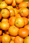 20080512_minoshima_01_00.jpg