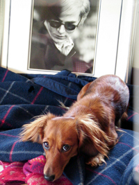 candy_warhol_00.jpg