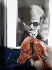 candy_warhol_01.jpg